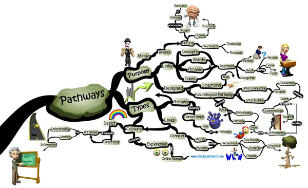 study matrix 101 pathways photo IQ Matrix 101 - Pathways Mind Map
