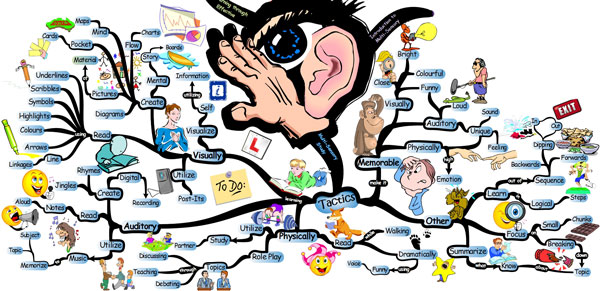 Advanced Multi-Sensory Study Tactics - Mind Map