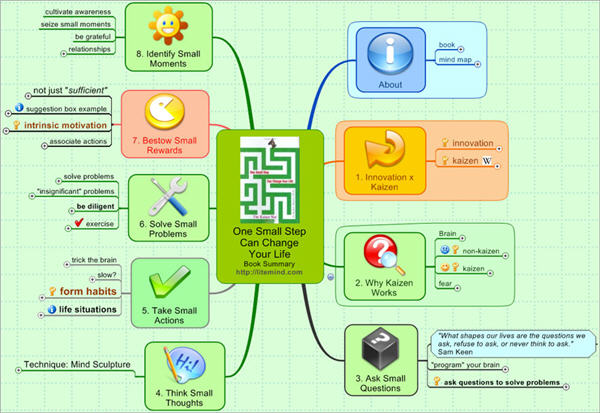 one small step can change your life Litemind: Life & Business Success Maps