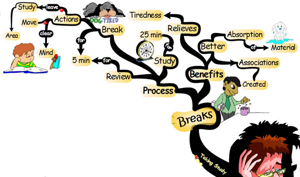 The Importance of Taking Study Breaks - Mind Map study habits taking breaks Developing Smart Study Habits